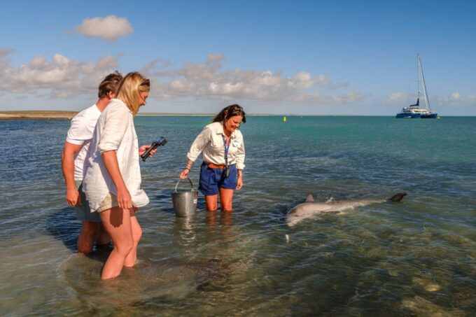 Perth: 4-Day Coastal Loop to Monkey Mia With Accommodation - Fitness and Eligibility Requirements