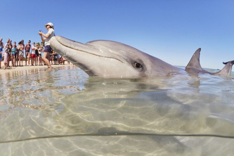Perth: 7 Day Explorer Return Tour to Exmouth - Inclusions and Requirements