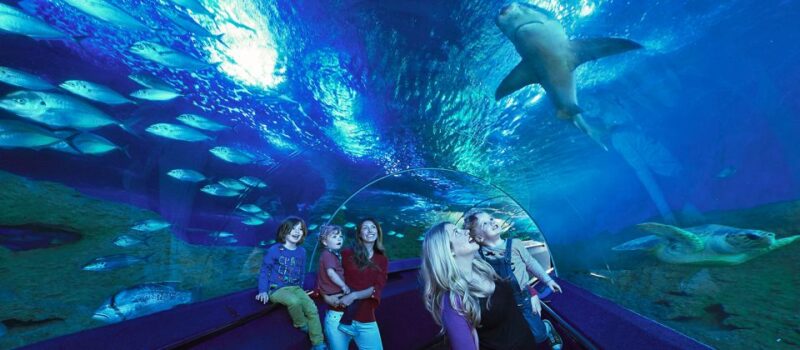 Perth: AQWA Aquarium of Western Australia Entry Tickets - Marine Life Encounter