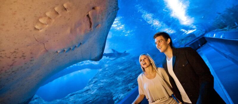 Perth: AQWA Aquarium of Western Australia Entry Tickets - Location and Hours