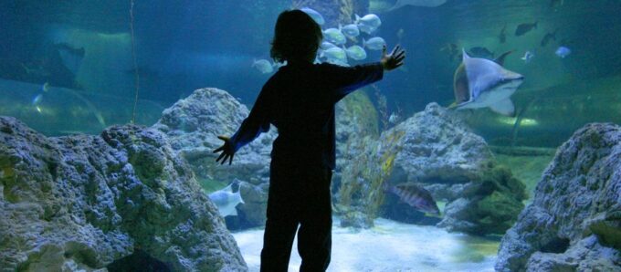 Perth: AQWA Aquarium of Western Australia Entry Tickets - Visitor Amenities