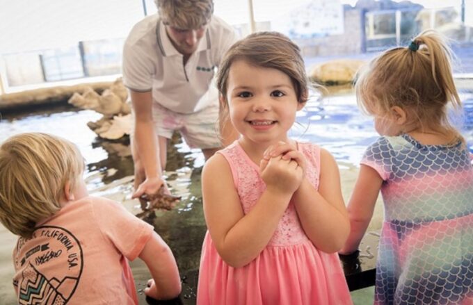 Perth: AQWA Aquarium of Western Australia Entry Tickets - Recap