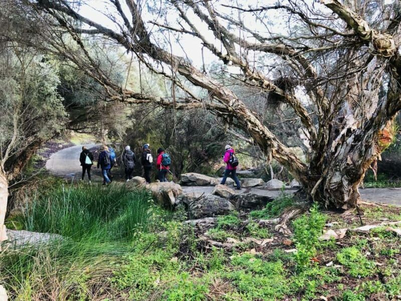 Perth: Bickley Valley Hiking Experience with Morning Tea - A Journey Through Nature and History