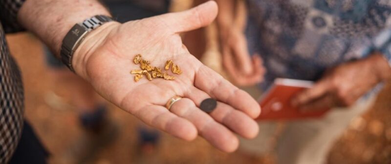 Perth: City Sights, Coins & Bells Tour - Tour Inclusions
