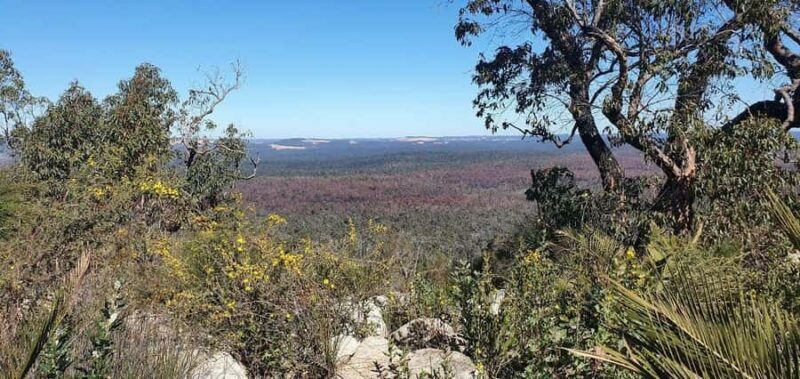 Perth: Darling Range Twin Peaks Hike with Morning Tea - Key Points