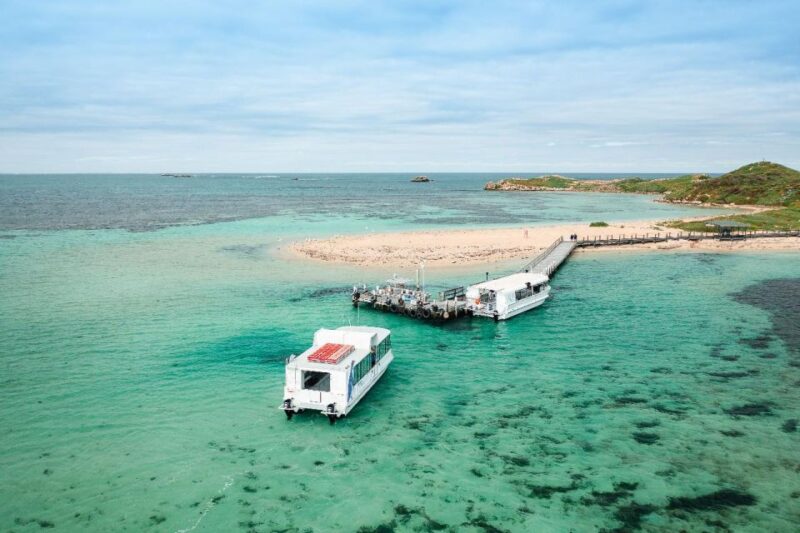 Perth: Dolphin and Wildlife Cruise With Lunch - Explore Shoalwater Islands