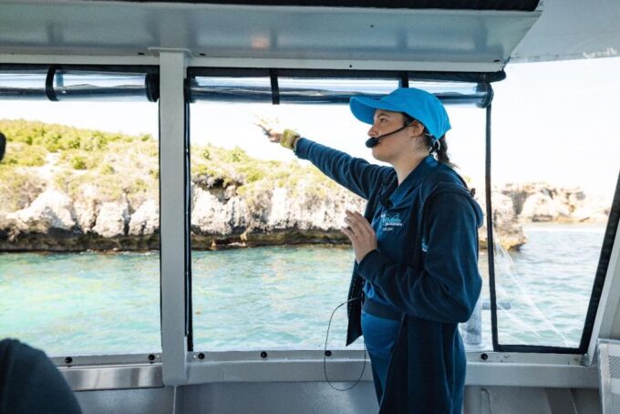 Perth: Dolphin and Wildlife Cruise With Lunch - Recap