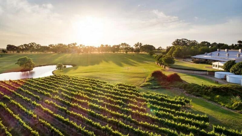 Perth: Full Day Swan Valley Cruise & Wine Tasting With Lunch - What Makes This Tour Stand Out?