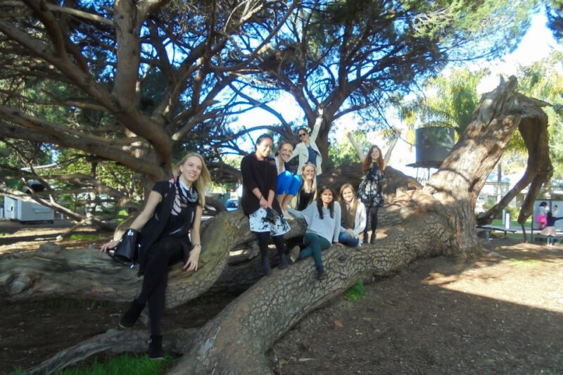 Perth: Full Day Swan Valley Cruise & Wine Tasting With Lunch - Key Points