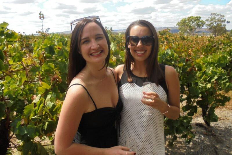 Perth: Full Day Swan Valley Cruise & Wine Tasting With Lunch - Chocolate Tasting Experience