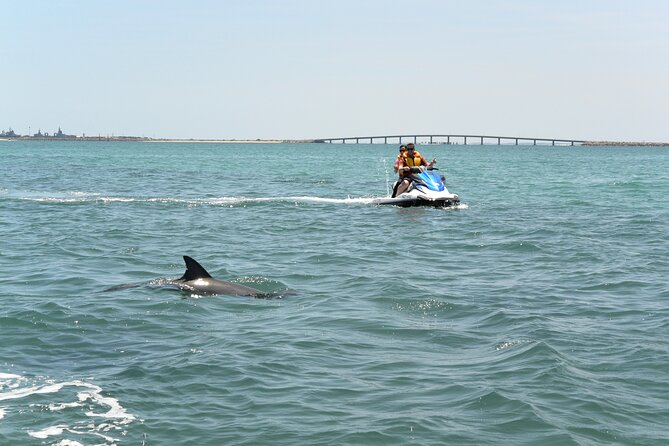 Perth Jet Ski Tour - Inclusions and Meeting Details