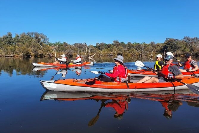 Perth Kayak Tour - Canning River Wetlands - Customer Reviews