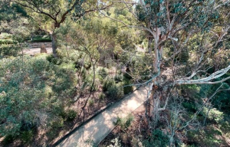 Perth: Kings Park Botanicals & Beyond Guided Hike - Key Points