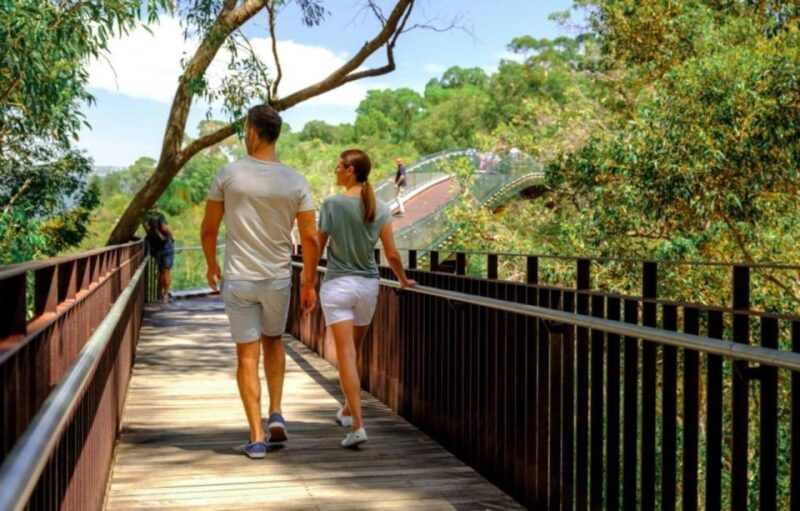 Perth: Kings Park Botanicals & Beyond Guided Hike - Guided Hike Details