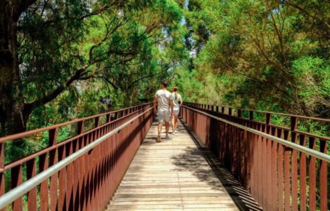 Perth: Kings Park Botanicals & Beyond Guided Hike - Recap