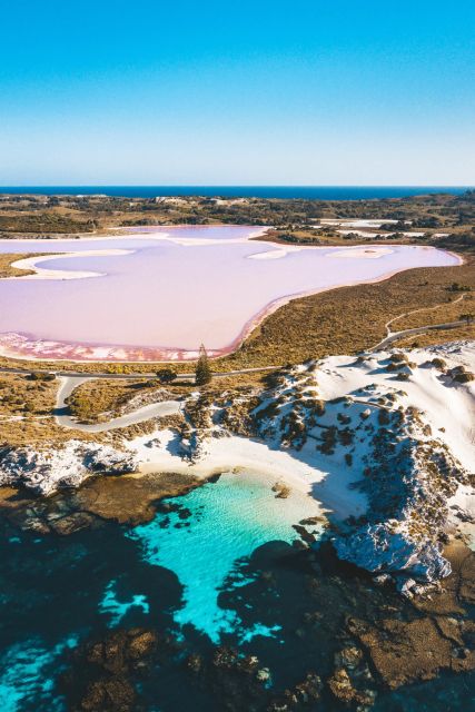 Perth: One Way Flight Transfer to or From Rottnest Island - English-Speaking Live Tour Guide