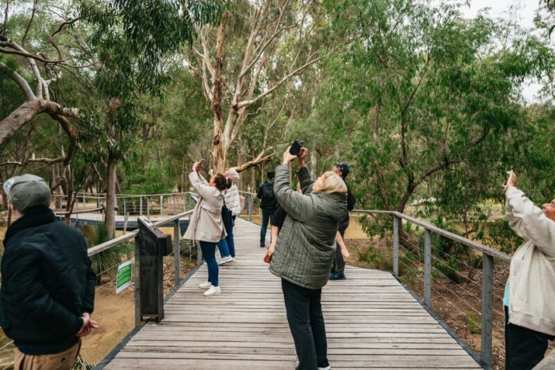 Perth: Pinnacle Desert Sunset and Stargazing With Dinner - Dinner in Cervantes