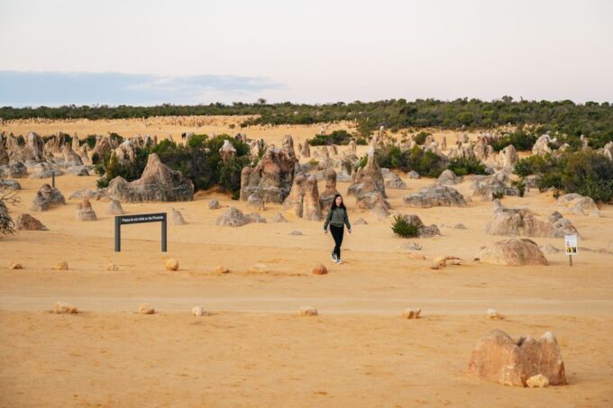 Perth: Pinnacle Desert Sunset and Stargazing With Dinner - Stargazing in National Park