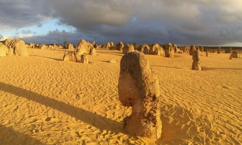 Perth: Pinnacles and Swan Valley Wine Day Tour With Lunch - Lobster Shack Restaurant Lunch