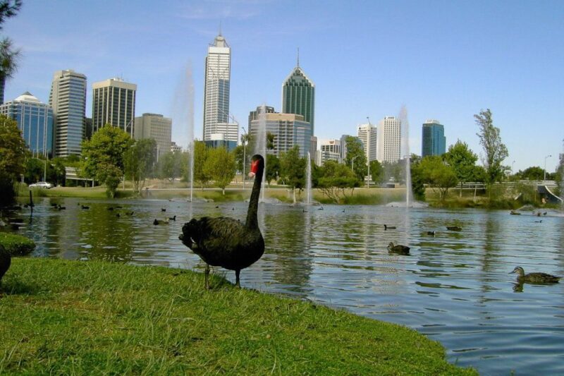 Perth Riverside Segway Tour - Customer Feedback