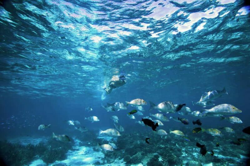 Perth to Exmouth & Return with Monkey Mia & Ningaloo Reef - Practical Tips for Travelers