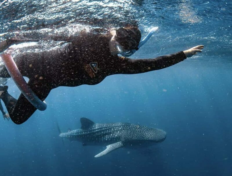 Perth to Exmouth & Return with Monkey Mia & Ningaloo Reef - The Value Proposition