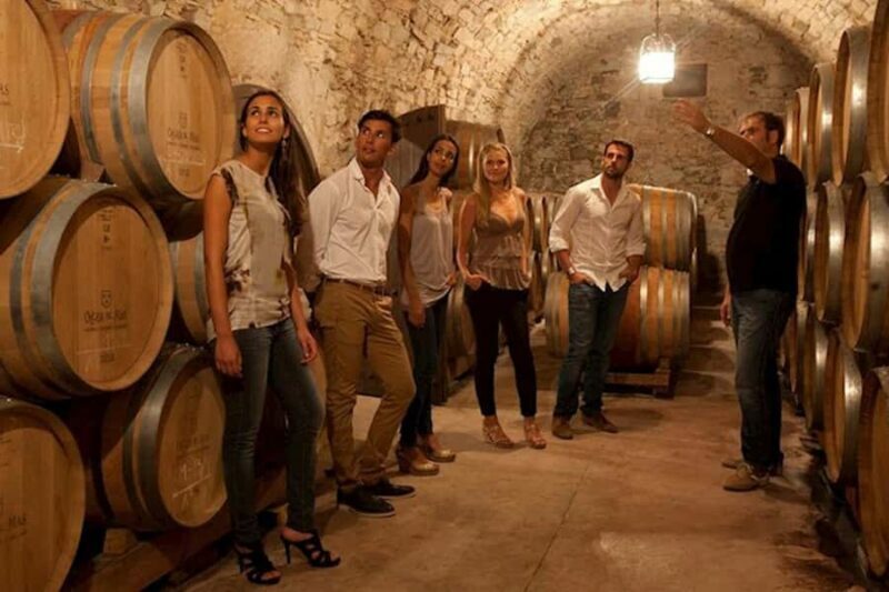 Perth VIP Swan Valley Wine Tour - Premium Small Group Tour - The Bottom Line: Who Should Consider This Tour?