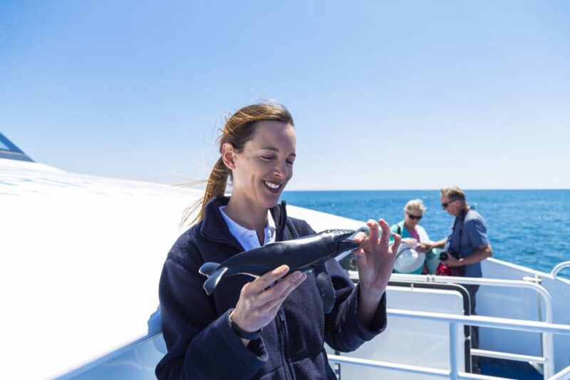 Perth: Whale Watching Cruise From Hillarys Boat Harbor - Customer Feedback