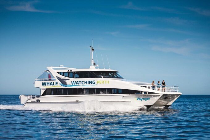 Perth: Whale Watching Cruise From Hillarys Boat Harbor - Catamaran Features