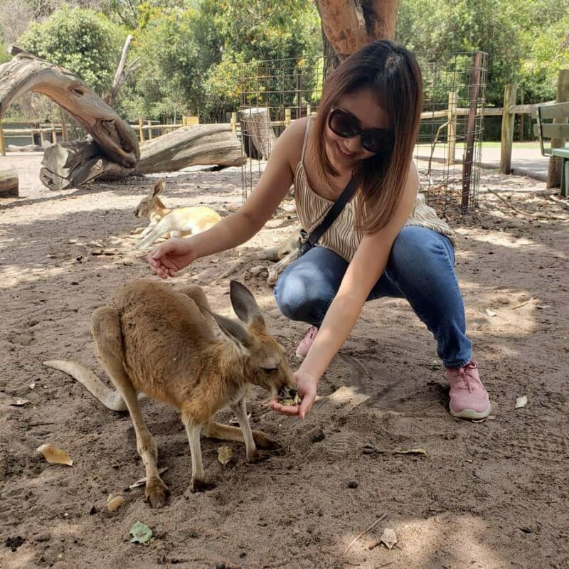 Perth Wildlife Park & City Highlights - Small Group Tours - Swan Valley Wine Tasting & Lunch