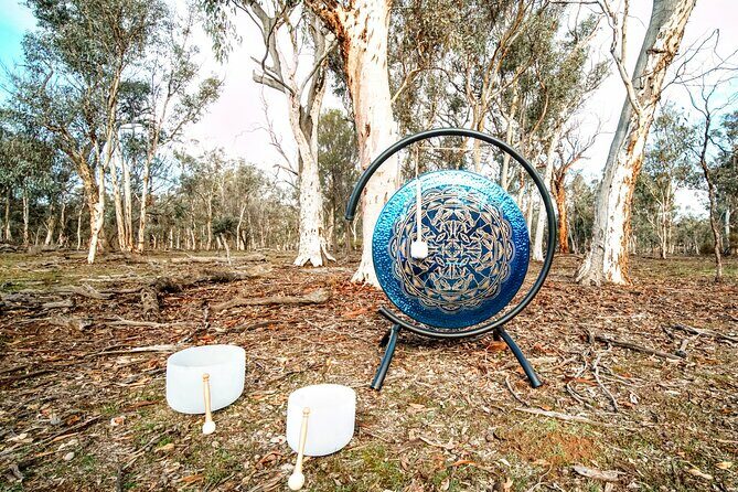Perth Wildlife Tour Under the Stars with Dinner - Stargazing in the Outback