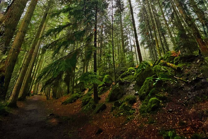 Perthshire Highlands: Private Land Rover Tour - Reviews and Feedback