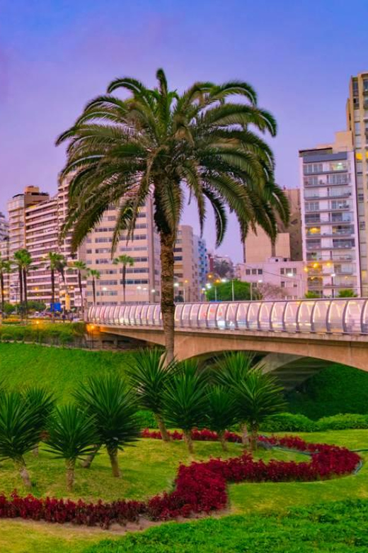 Peru 11D Trek |Machu Picchu, Huacachina| |4-Star Hotel| - Key Points