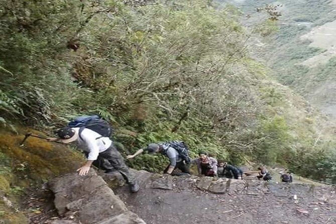 Peru 15 Days Adventure - Dining and Cuisine