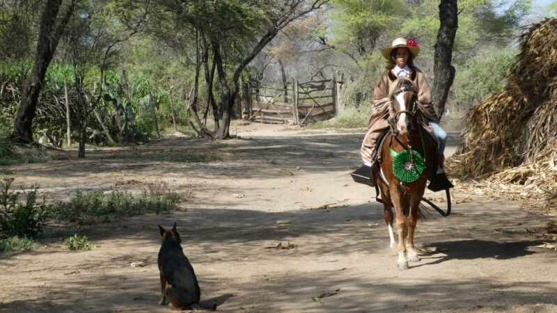 Peru,: 4 Hours Horseback Riding and Ancient Pyramids - Key Points