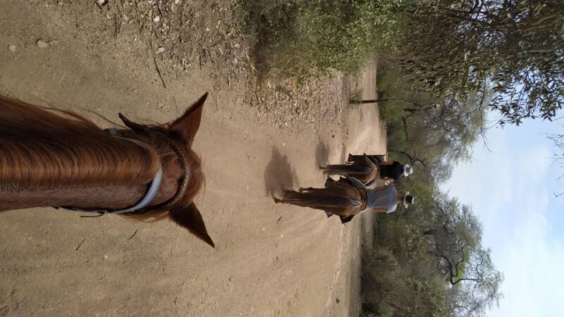 Peru,: 4 Hours Horseback Riding and Ancient Pyramids - Experience Highlights