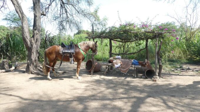 Peru,: 4 Hours Horseback Riding and Ancient Pyramids - Frequently Asked Questions