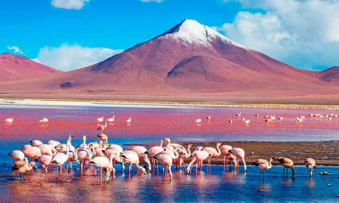 Peru and Bolivia 16 Days 15 Nights - Small Group Tours