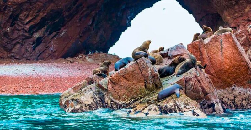 Peru and Bolivia 16 Days 15 Nights - Key Points