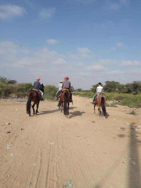 Peru, Chiclayo: 1 Day Horseback Riding and Ancient Pyramids - Key Points