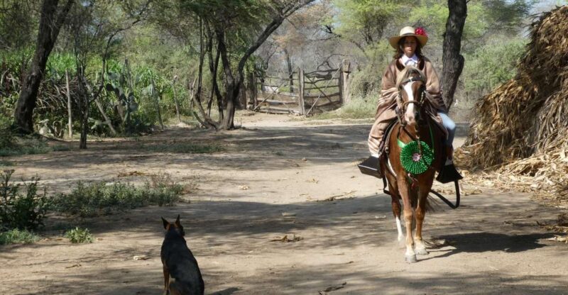 Peru, Chiclayo: 1 Day Horseback Riding and Ancient Pyramids - Horseback Riding Experience