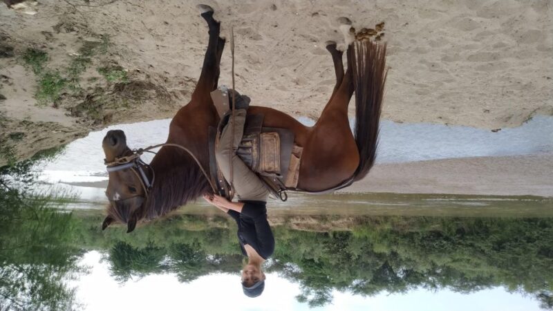 Peru, Chiclayo: 1 Day Horseback Riding and Ancient Pyramids - Transportation Options