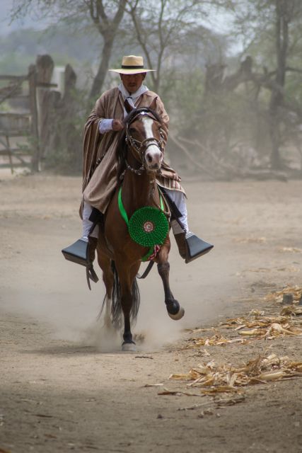 Peru, Chiclayo: 1 Day Horseback Riding and Ancient Pyramids - Historic Sanctuary of Pomac