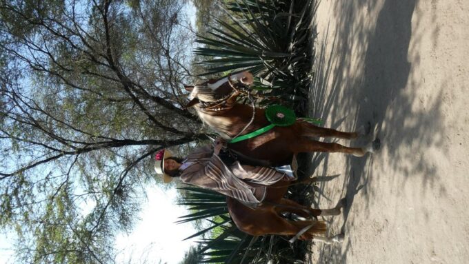 Peru, Chiclayo: 1 Day Horseback Riding and Ancient Pyramids - Temple of the Lord of Sicán