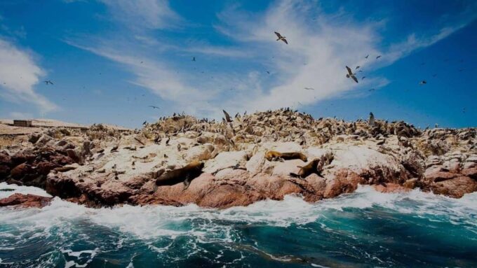 Peru: Ica, Cusco, Machu Picchu, Humantay Lake - 6 Days - Frequently Asked Questions