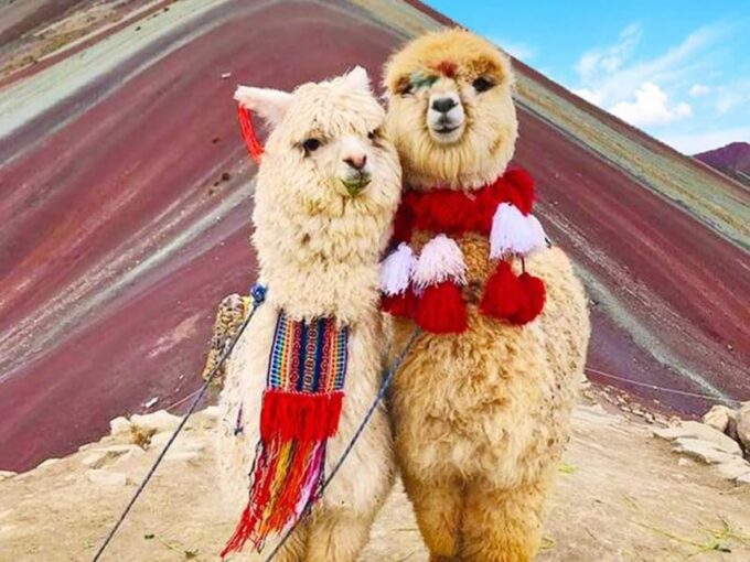 Peru in 16 Days: Lima- Cusco- Puno - Bolivia 3 Star Hotel - Inclusions and Important Information