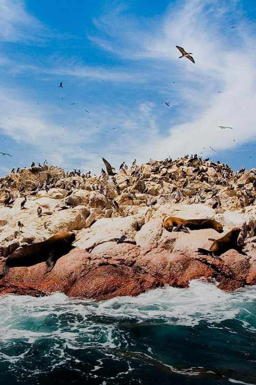 Peru in 20 Days:Lima,Ica,Arequipa,Puno,Cusco and the Amazon. - Machu Picchu Adventure