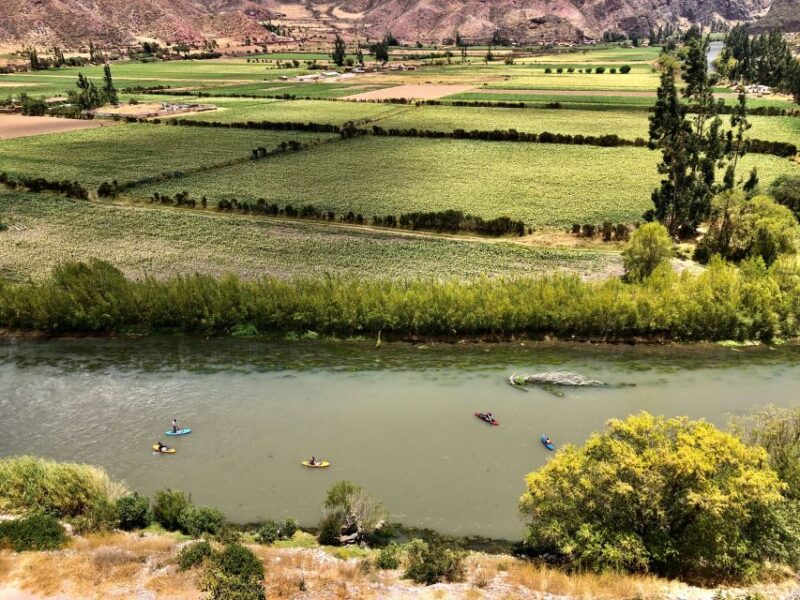 Peru: Stand-Up Paddleboarding Tour on Urubamba River - Experience and Highlights