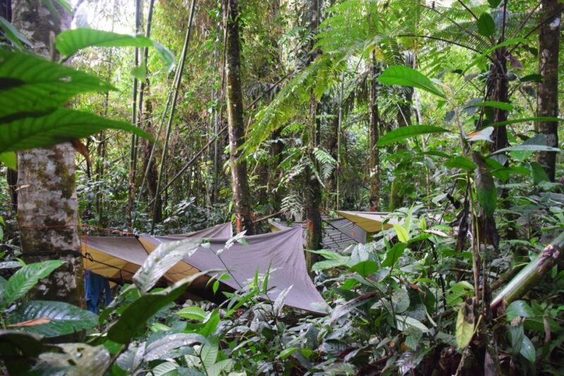 Peruvian Amazon Rainforest Hiking and Rafting Guide - Exploring the Amazon Rainforest