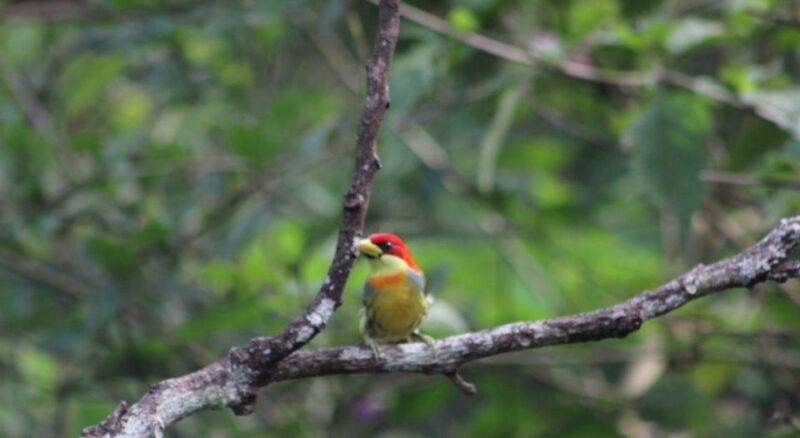 Peruvian Jungle Manu Park Four Days / Three Nights - Important Information